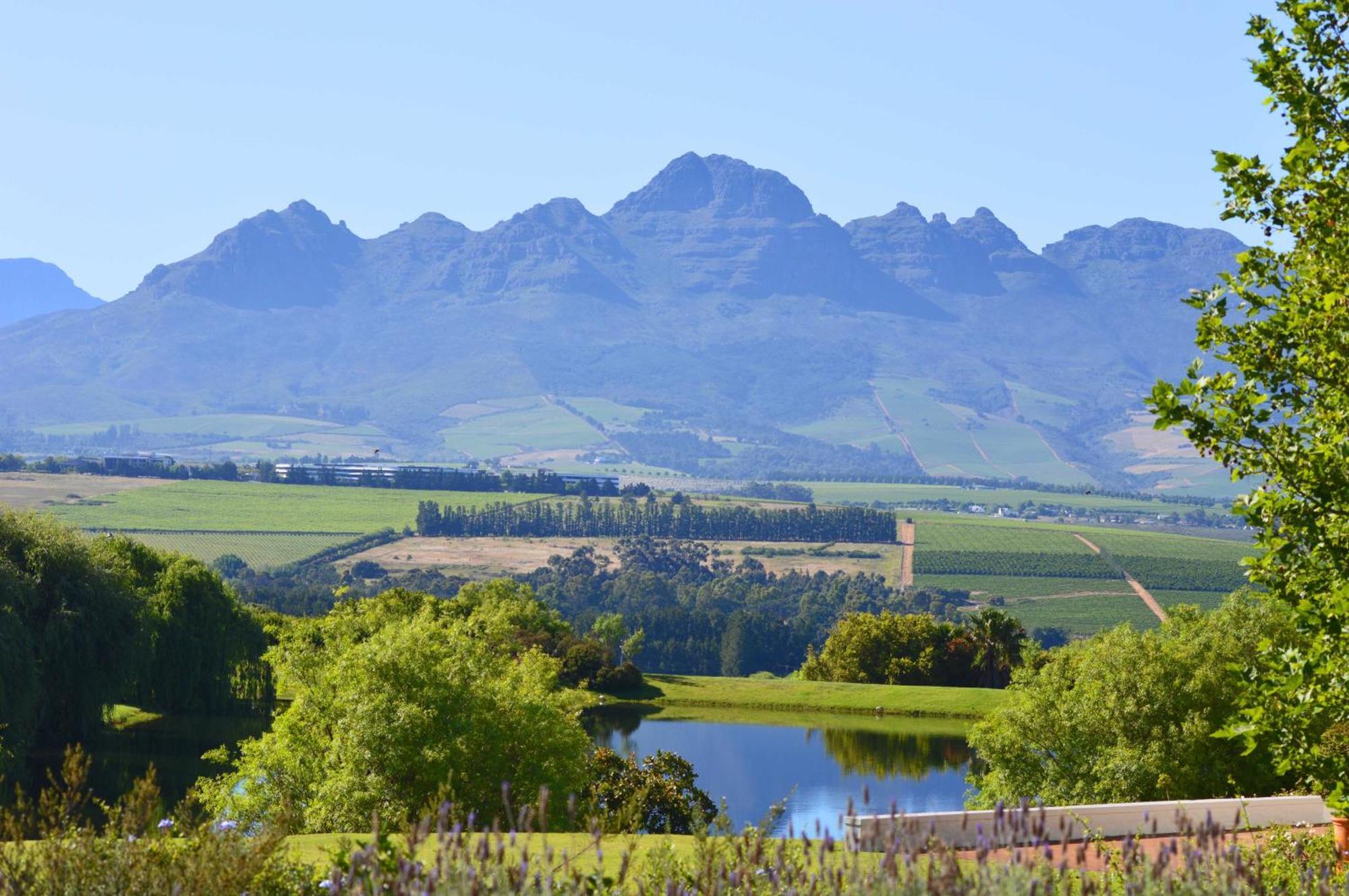 Asara Wine Estate&Hotel Stellenbosch Exterior foto